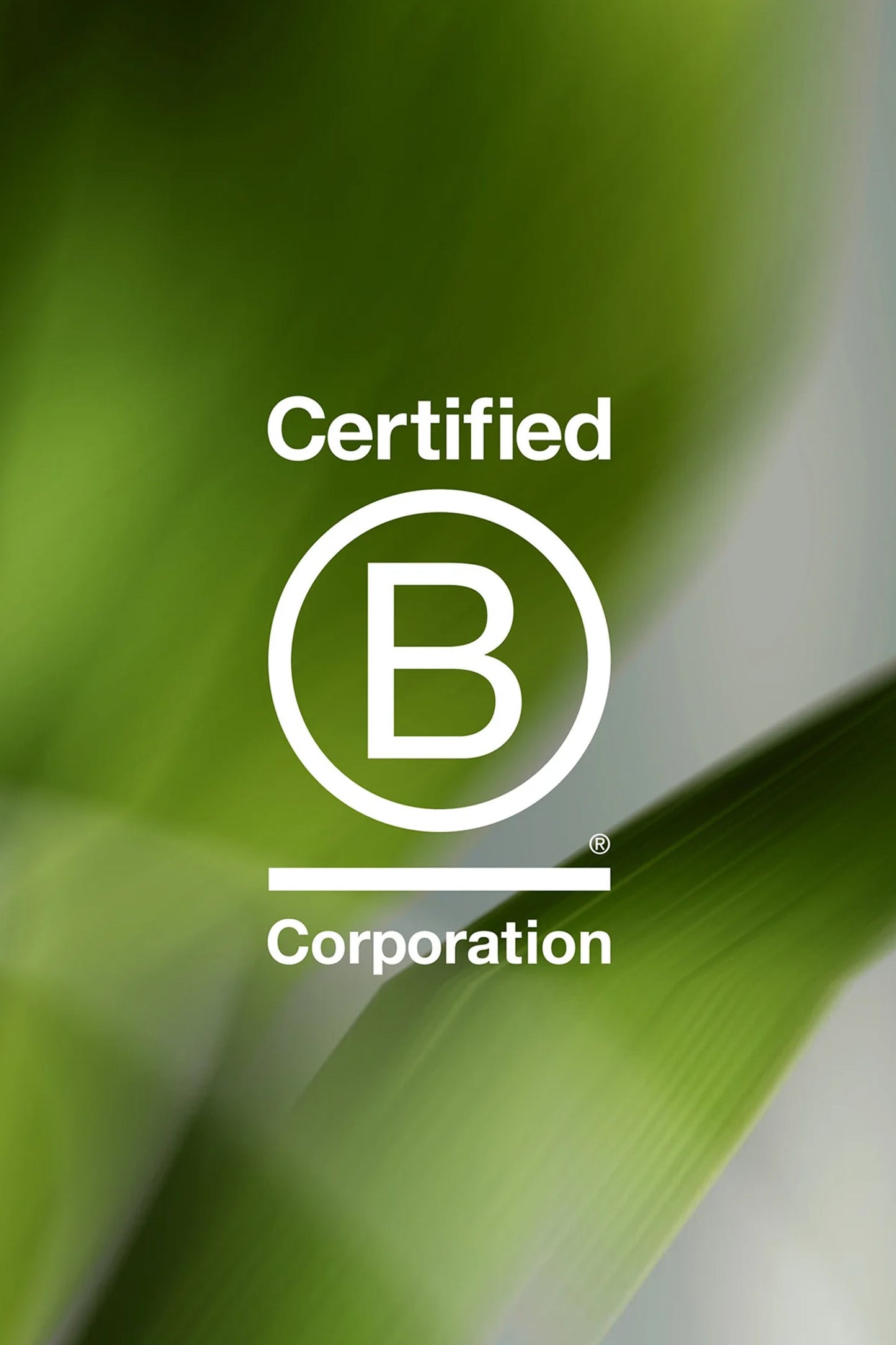 GoSmile Ultra | Pink